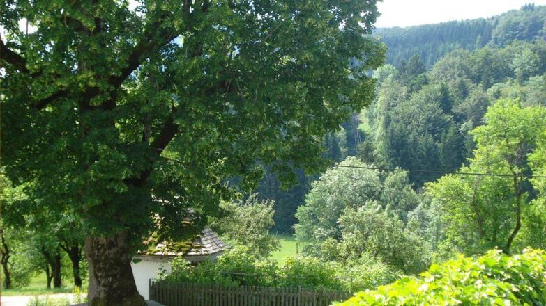 Ausblick