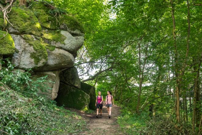 Wandern am Herzogreitherfelsenweg