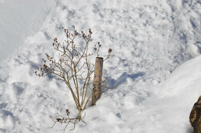 winter 016