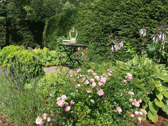 Blick auf den Wolfgangsee