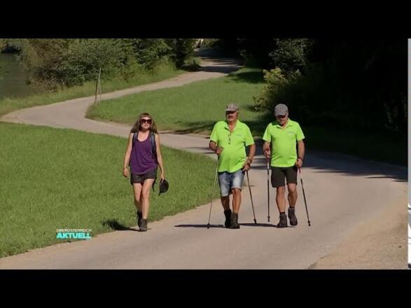 Donausteig Wanderung - Hofkirchner Wasserfallrunde