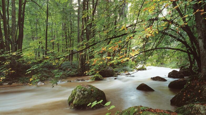 Oberes Feldaisttal Wanderung