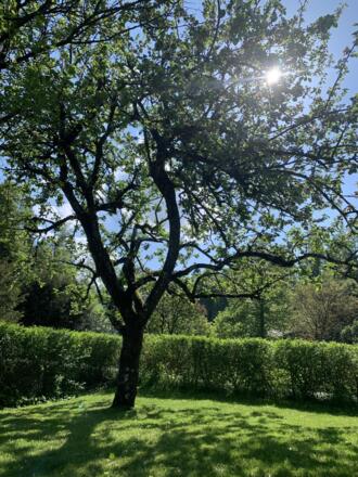Garten