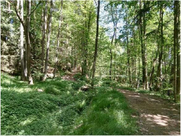 Lasberg_Feistritztal