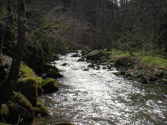 8.) Kösselbachtal.jpg