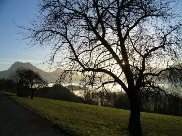 Aussicht