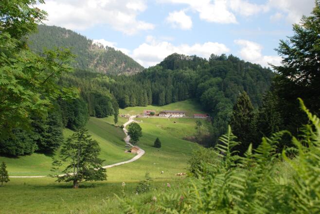 Alm Landschaft