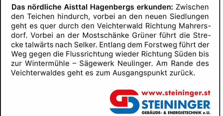 Steininger-Runde-Infos