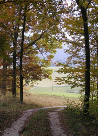 Steinbloss-Mauer-Weg