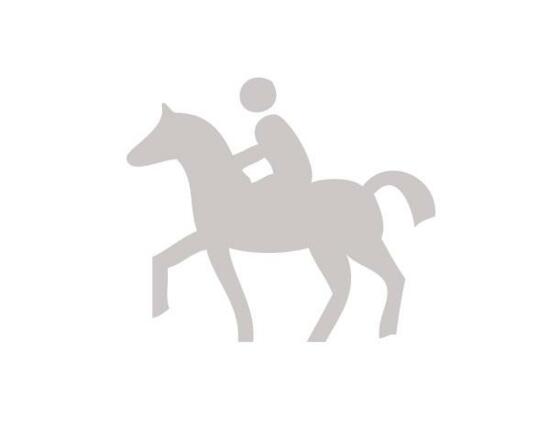 Reitclub Böhmerwald