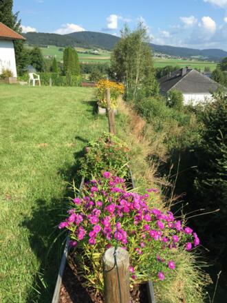 IMG_Garten - Kopie