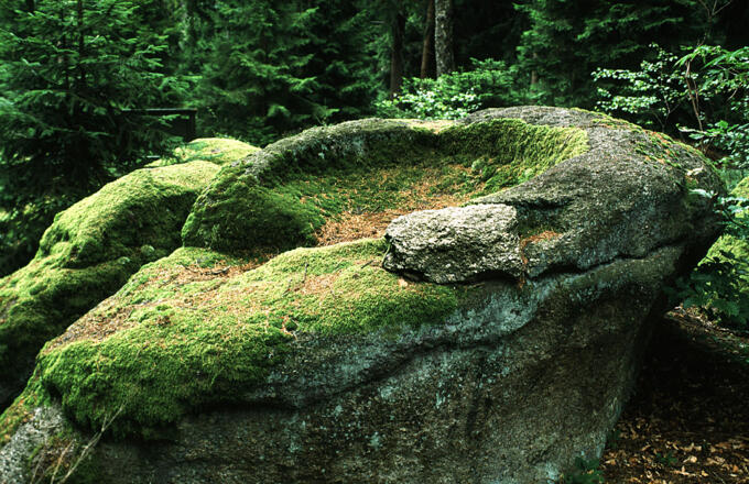 Schalenstein nähe Rechberg 15