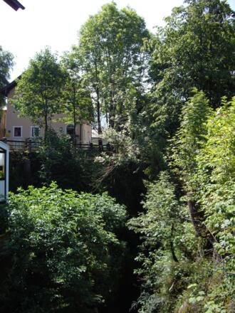 Blick vom Steg