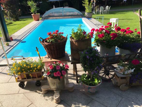 Pool mit Blumen