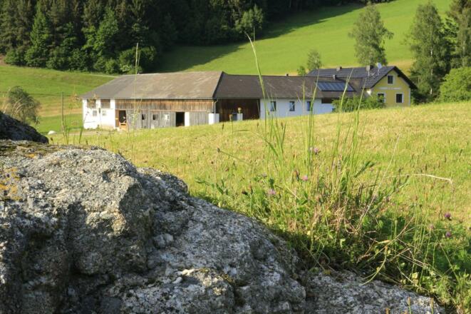 unser Hof inmitten grüner Wiesen
