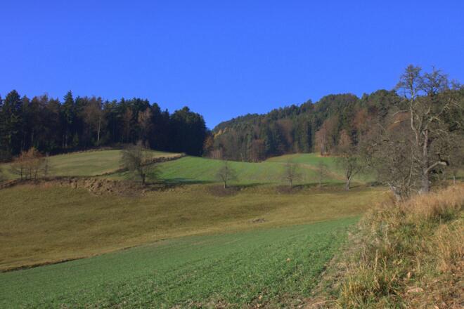Panoramaweg