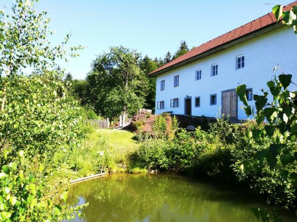 mit Fischteich
