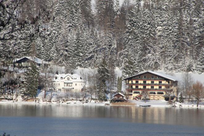 Seewinkel Steg
