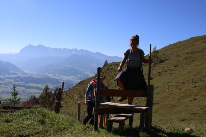 Wiesenhang kurz vor der Taubenseehütte