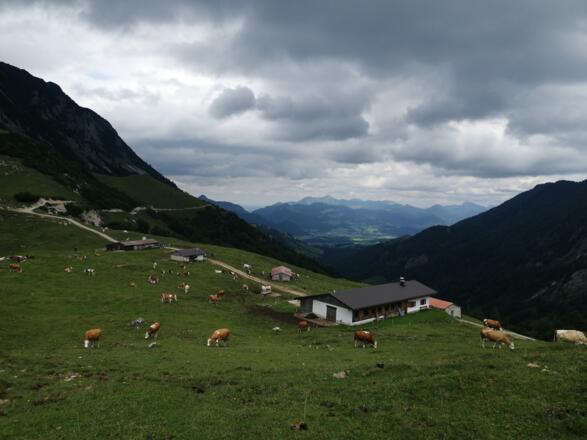 Blick auf die Hochalm
