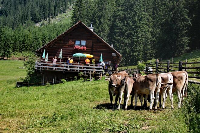 Iglmoosalm