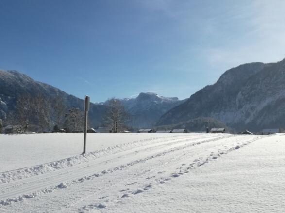 Loipe St. Agatha in Bad Goisern am Hallstättersee mit Blick zum Krippenstein