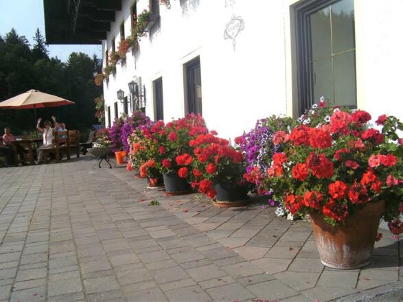 Mühlbauernhof - Blumen
