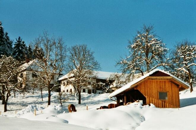Unser Hof im Winter