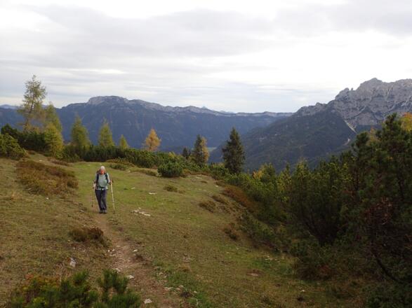 Am Weg zum Schafelberg