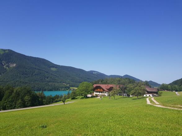 Sommer_01
