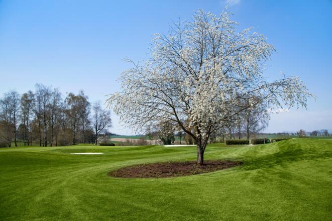 Der Blick zum ersten Abschlag im Frühling