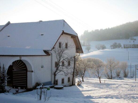 Vorderansicht Winter