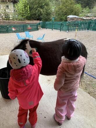 Reitkids