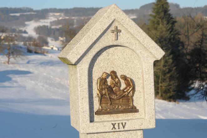 Steinmarterl im Schnee