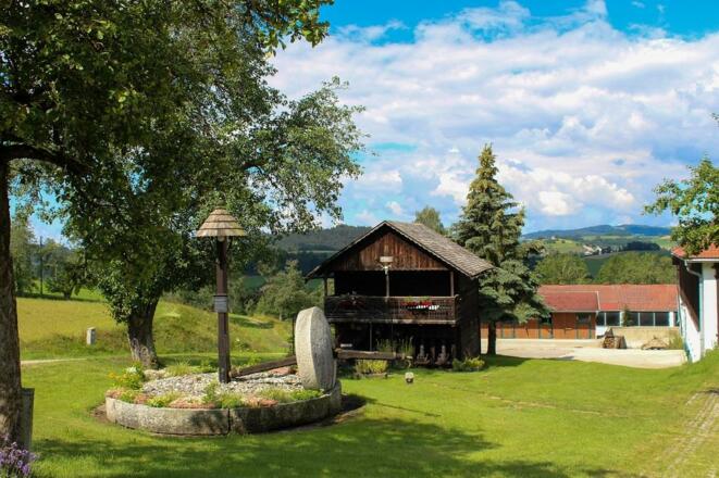 Yoga am Teich mit traumhafter Aussicht