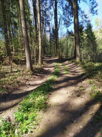 25 Glasaurunde