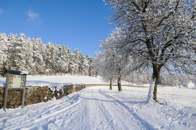 Trockensteinmauer im Winter