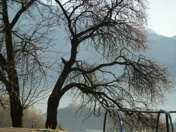 Herbststimmung