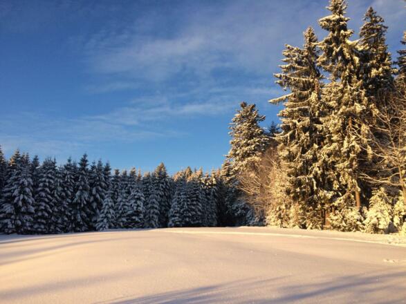 Aussicht vom Garten im Winter