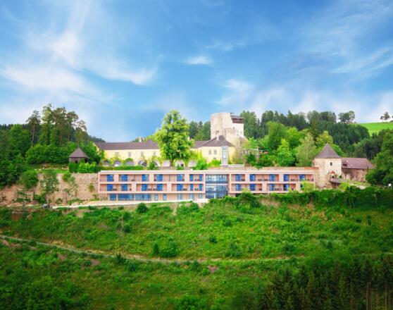 Burg-Ansicht