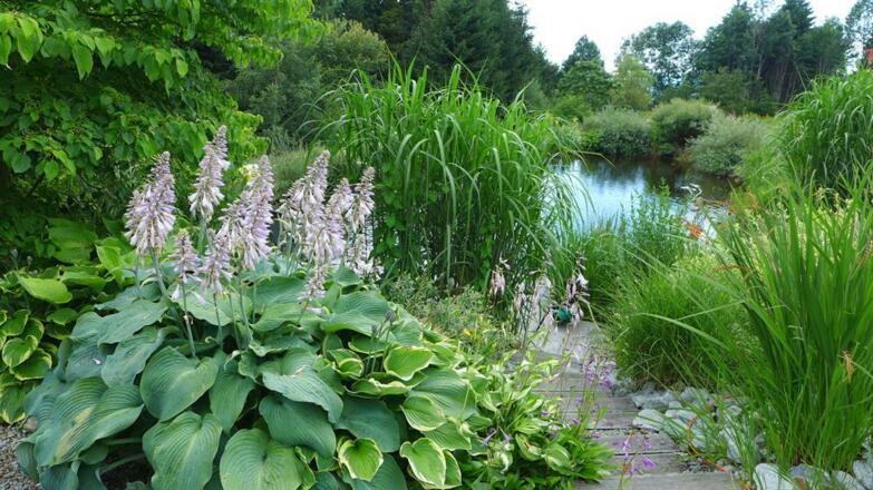 Gartenanlage mit Teich