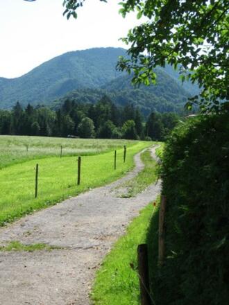 Mühlbauernhof Aussicht2