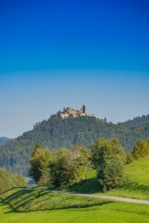 JohanneswegLandschaftBurgruineRuttenstein01_TVBMuehlviertlerAlmFreistadtWalchAndreasPhotography.jpg