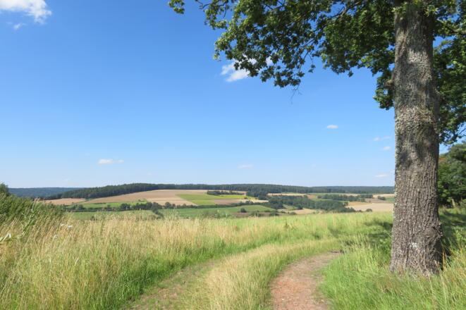 Blick vom Taubenherd