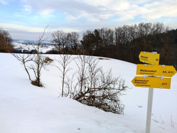 Ein lohnender Ausblick
