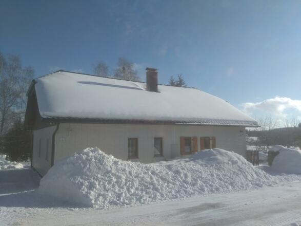 Wintertraum im Garten