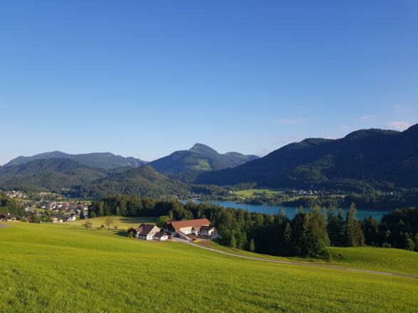 Sommer_10