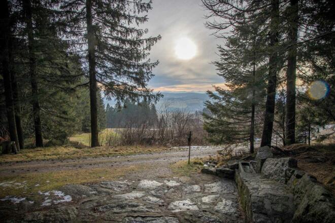 V4 Poimer Panoramaweg