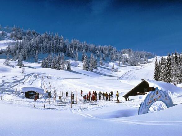 Pferdeschlitten mit Schnauzerl u. Fany