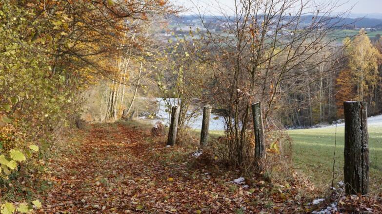 Aufstieg nach Weikersdorf